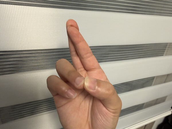 건강의 모든 것
