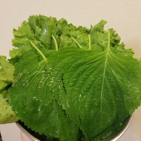 ameblo