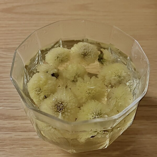 chamomile