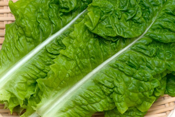 horti