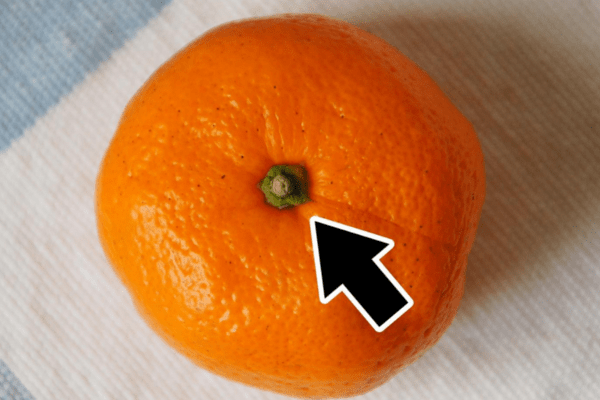 mikkabimikan