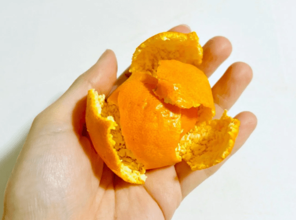 kurashinista