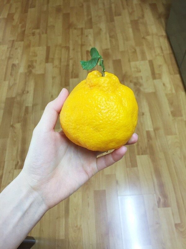 ameblo