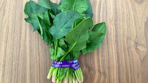 yahoo