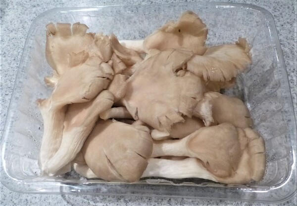 ameblo