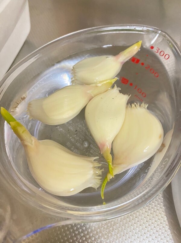 ameblo
