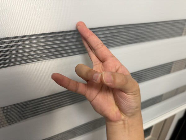 건강의 모든 것