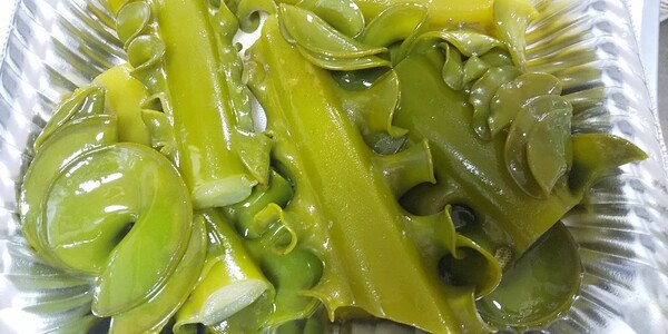 tabi-gucchi