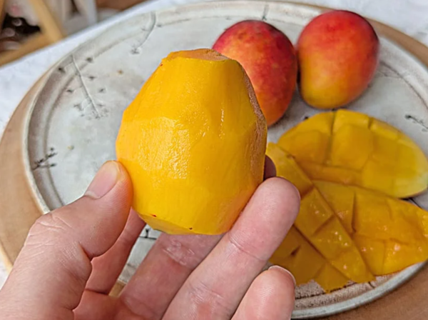kumamoto-natural-fruits.com