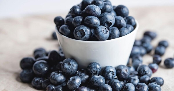 blueberry-labo