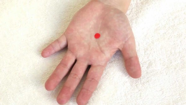 acuraclinic