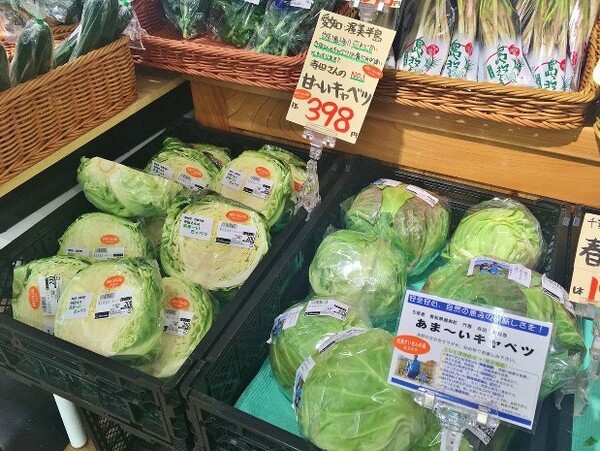 mainichi
