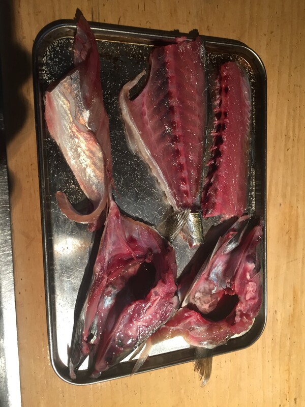 izakaya-kukai