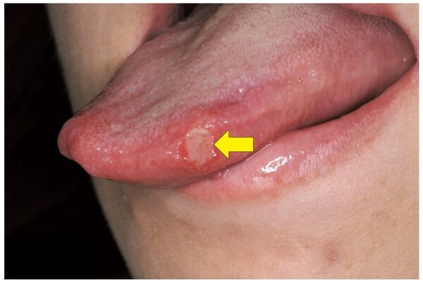 oralstudio.net