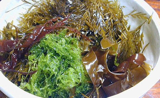 shizenjin