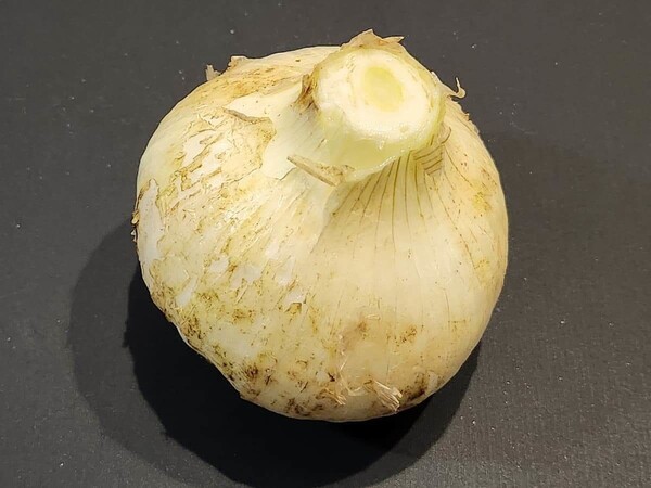 yomuno