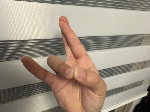 건강의 모든 것