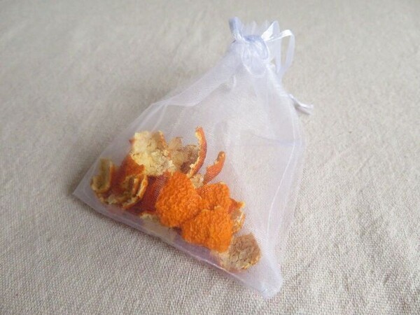 kurashinista