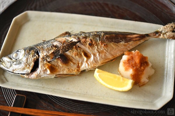 sirogohan