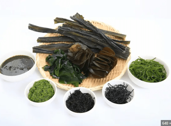 .nobu-healthylife-clinic.com