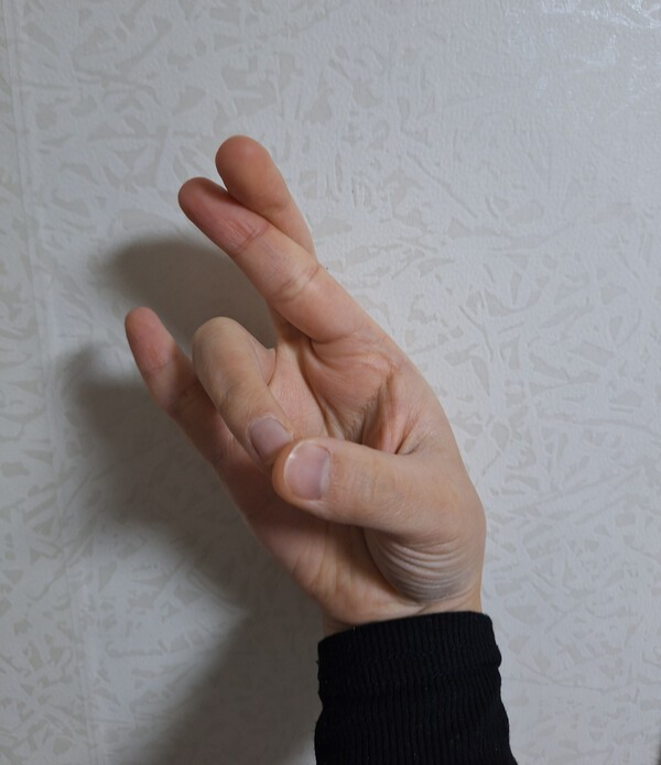 건강의 모든 것