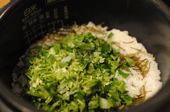 odashi
