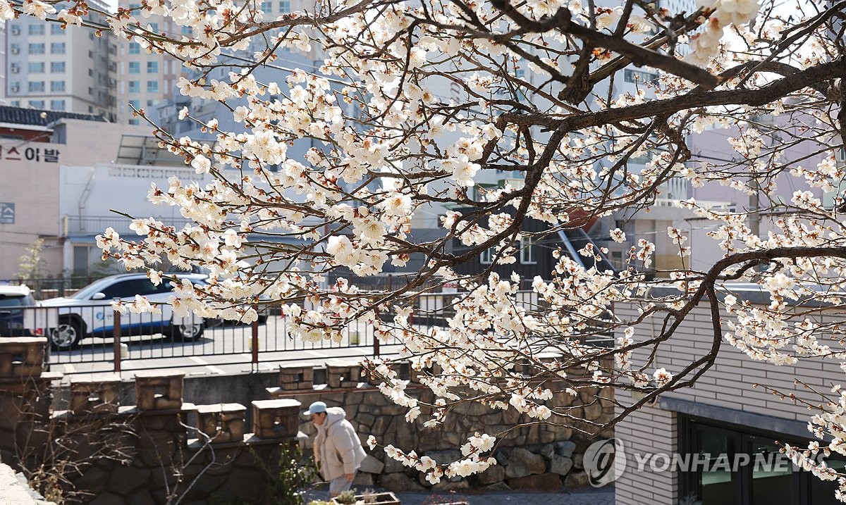 사진=연합뉴스