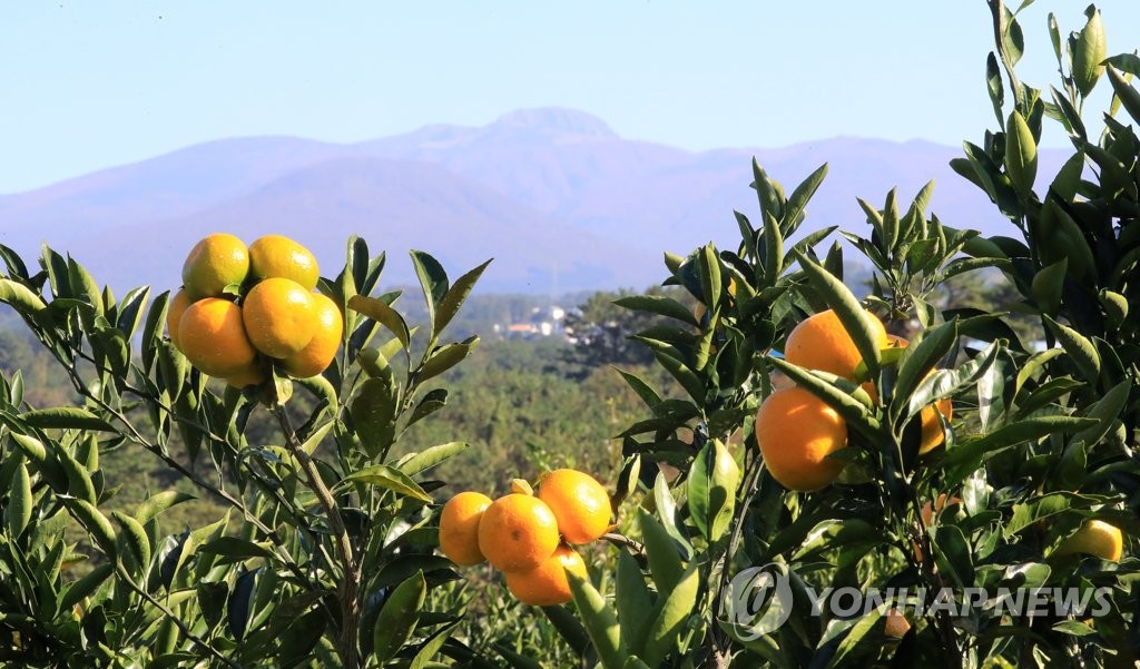 사진=연합뉴스