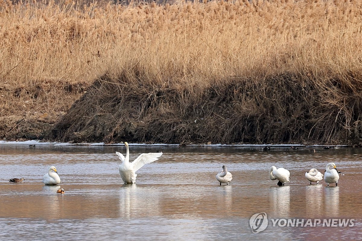 사진=연합뉴스