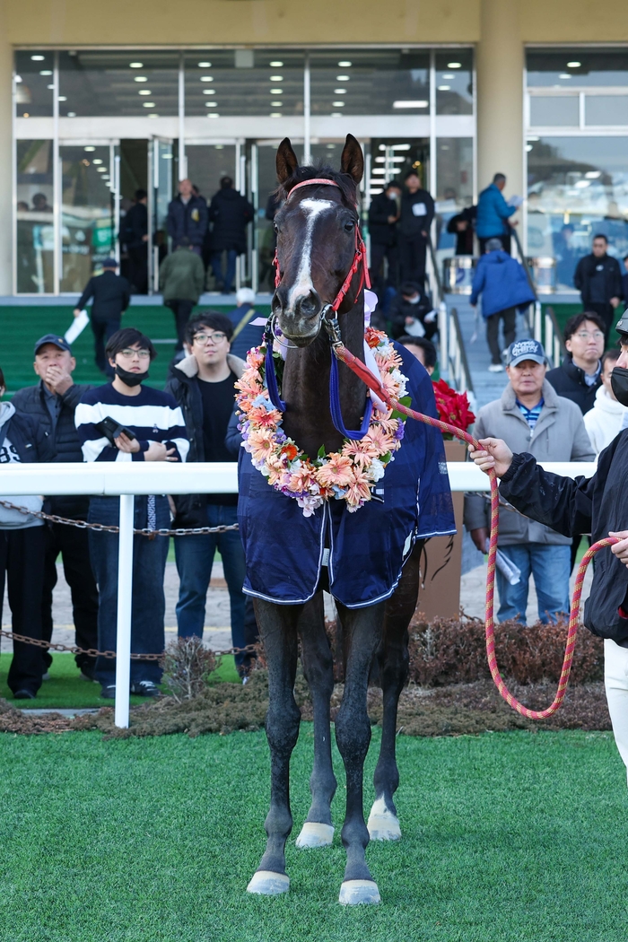 引用：韓国競馬会
