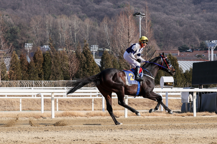 引用：韓国競馬会