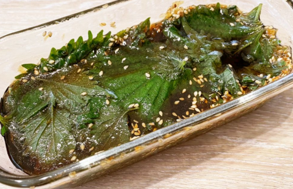 온라인 커뮤니티