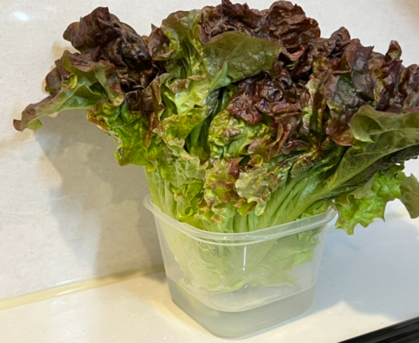 온라인 커뮤니티
