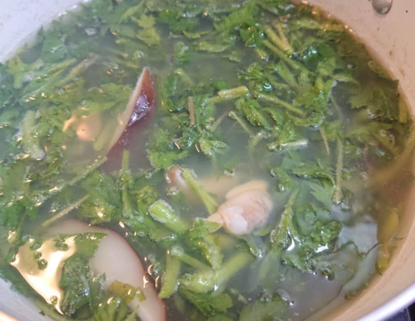 온라인 커뮤니티
