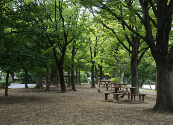 온라인 커뮤니티