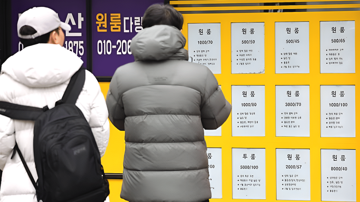 대학가 월세 상승