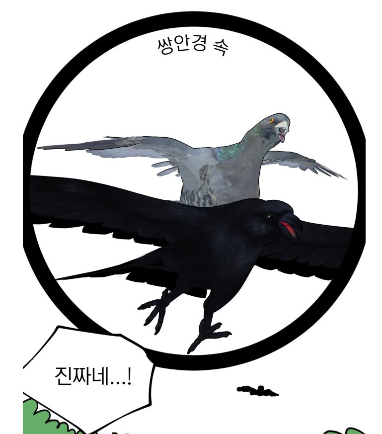 「성북구 비둘기 이헌서」
