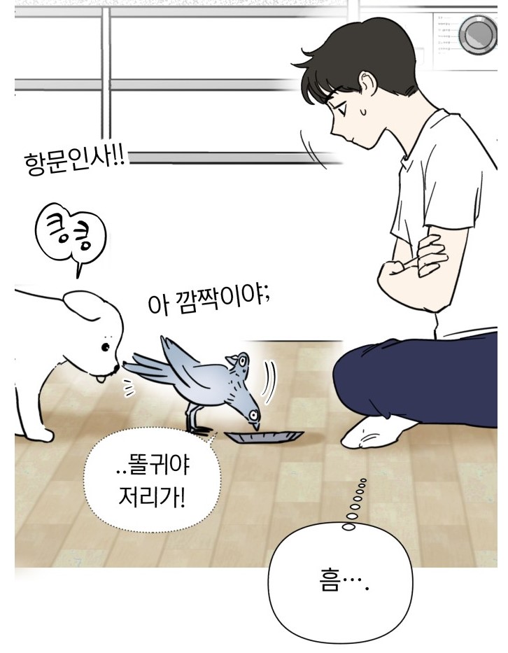 비둘기가 된 이헌서는 동창 반휘혈의 도움을 받게 된다.