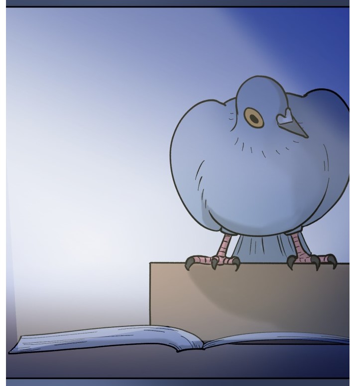 「성북구 비둘기 이헌서」
