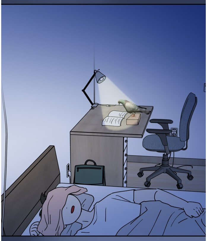 「성북구 비둘기 이헌서」
