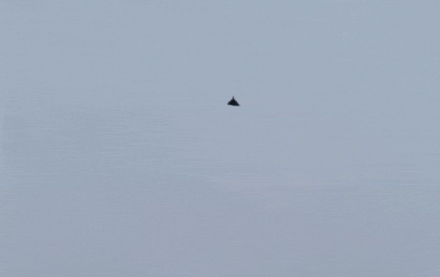 引用：ウクライナ空軍