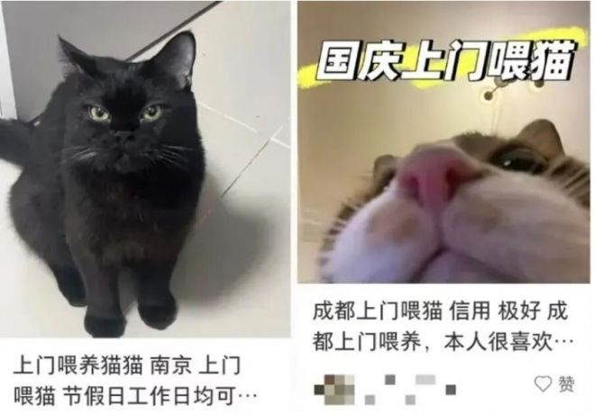 引用：新聞坊