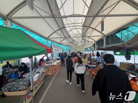 Spring Outing in Korea: Top 5 Family-Friendly Destinations to Explore in 2026