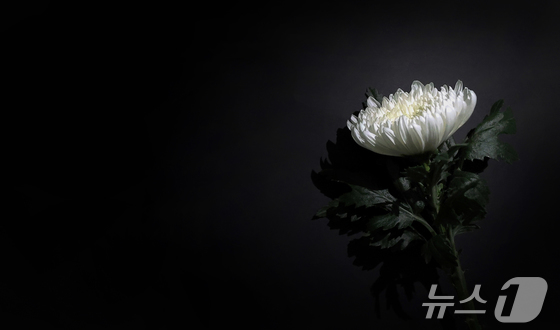 Kim Young-jo’s Passing: A Deep Dive into His Impact on the Community