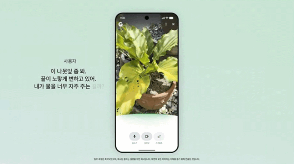 Google’s new search service “Search Live,” which allows users to point a smartphone camera at their surroundings and interact with AI in real time to find information. / Courtesy of Google Blog