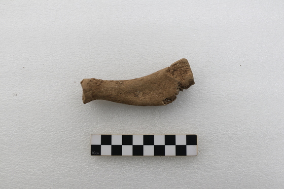 Unlocking History: The Significance of the Gunsan Shell Midden in Ancient Maritime Trade