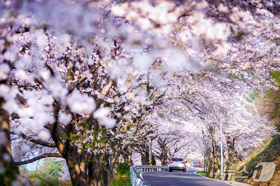 Namhae County