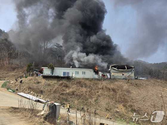 Fire Outbreaks in Gangwon: What Caused the Massive Damage?