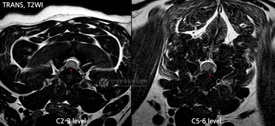 Bon Animal Medical Center