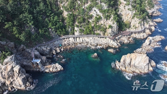 Samcheok’s Coastal Adventure: How the New Suspension Bridge Enhances Tourist Safety in 2026